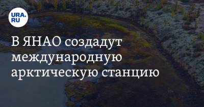 В ЯНАО создадут международную арктическую станцию