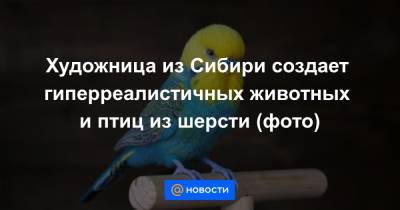 Художница из Сибири создает гиперреалистичных животных и птиц из шерсти (фото)