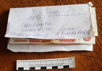 Уличный разговор про «путинские выплаты» оставил сыктывкарку без сбережений