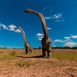 Палеонтологи из Австралии открыли новый вид гигантских динозавров. Фото