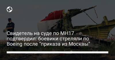 Свидетель на суде по MH17 подтвердил: боевики стреляли по Boeing после "приказа из Москвы"