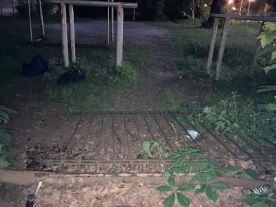 Рухнувший чугунный забор покалечил 9-летнего мальчика в Брянске