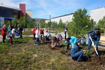 Жители Видяево присоединились к акции «Сад памяти» и высадили кусты сирени