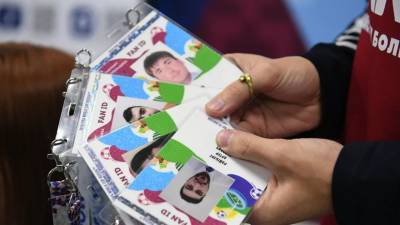 Матыцин сообщил, что законопроект о введении Fan ID передан в Госдуму