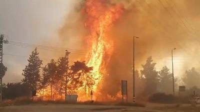 Вблизи Иерусалима в Израиле вспыхнули масштабные пожары