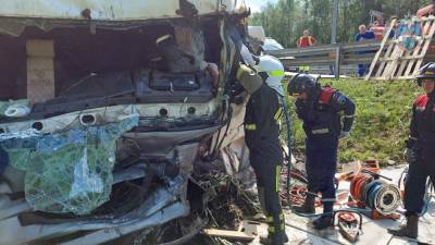 На трассе М-11 в Тосненском районе столкнулись два грузовика — фото