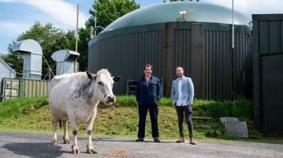 Коровий навоз и майнинг криптовалюты: в Британии фермер удивил оригинально идеей