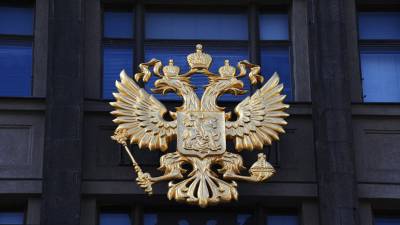 Комитет Госдумы поддержал поправки о повышении штрафов за публикации советов о переделке оружия