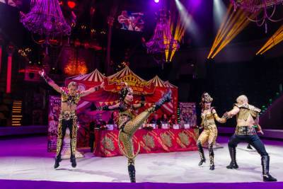 В Рязань впервые приехал «Королевский цирк» Гии Эрадзе