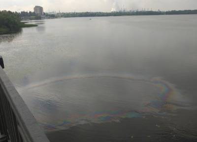 Экологи взяли пробы воды под Петровским мостом