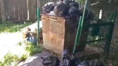 Видео из Сети. Накрыли крышкой: в Костроме решили вопрос с вонючим мусором рядом с детским садом