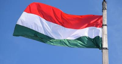 Венгрия официально признала украинские COVID-паспорта