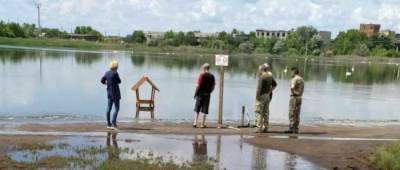 В Славянске на одном из озер установили кормушки для лебедей