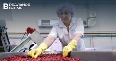 В Татарстане появятся центры заготовки и переработки ягодных культур
