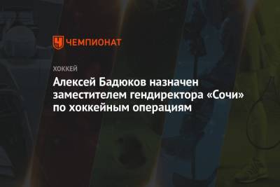 Алексей Бадюков назначен заместителем гендиректора «Сочи» по хоккейным операциям