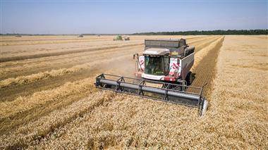 Минсельхоз США повысил прогноз по урожаю пшеницы в России в 2021 году до 86 млн тонн