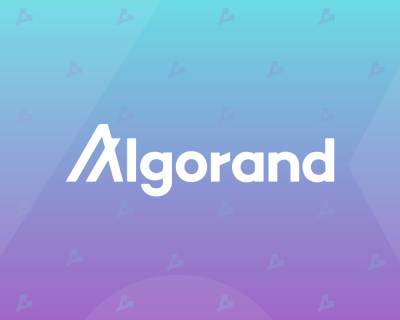 Arrington XRP Capital запустила инвестфонд на $100 млн для проектов в экосистеме Algorand