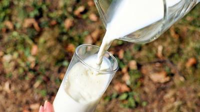 Микробиолог перечислила вредные в жару молочные продукты