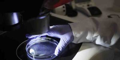 На Украине сотрудница биолаборатории выкрала флаконы со штаммами опасного вируса