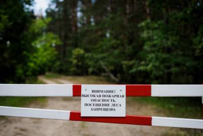 Жителям Карелии запретили выезжать в лес