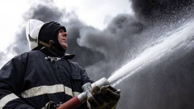 В России за сутки потушили 58 лесных пожаров