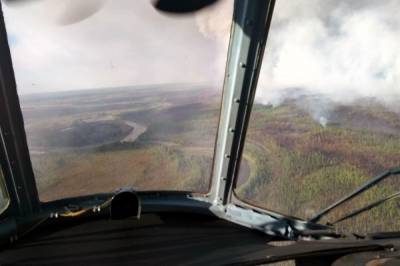 В России за сутки ликвидировали 58 лесных пожаров