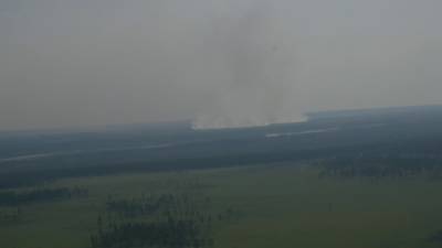 Лесные пожары продолжают бушевать в Якутии