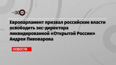 Европарламент призвал российские власти освободить экс-директора ликвидированной «Открытой России» Андрея Пивоварова