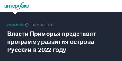 Власти Приморья представят программу развития острова Русский в 2022 году