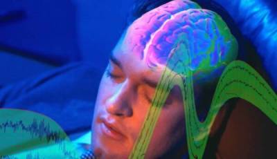 Ученые узнали, как короткий отдых влияет на работу мозга – Учительская газета