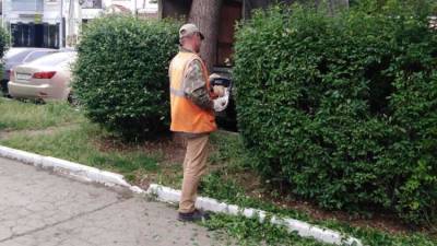 В Симферополе провели обрезку деревьев и кустарников на 15 улицах