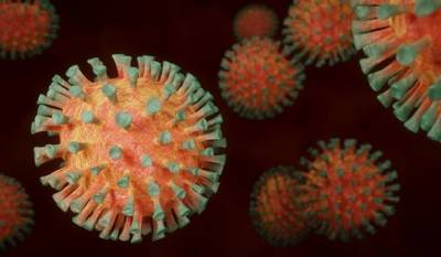 Ученые «взвесили» коронавирус