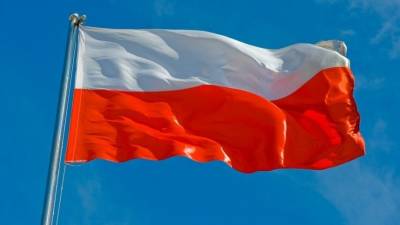 Польский политолог назвал причину тотальной русофобии в стране