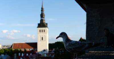 С 1 июля смягчаются требования к однодневным туристическим поездкам в Эстонию