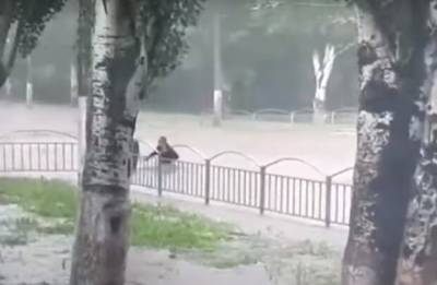 Стихия наделала бед на Одесчине, затопив дома: спасатели показали последствия непогоды