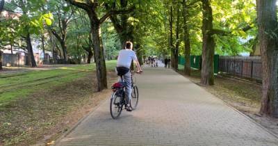 На Фестивальной аллее в Калининграде отделят велодорожку и улучшат освещение