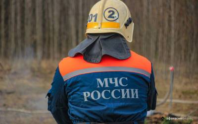 В Тверской области объявлена высокая пожарная опасность