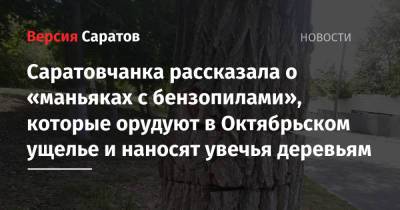 Саратовчанка рассказала о «маньяках с бензопилами», которые орудуют в Октябрьском ущелье и наносят увечья деревьям