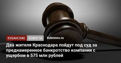 Два жителя Краснодара пойдут под суд за преднамеренное банкротство компании с ущербом в 575 млн рублей