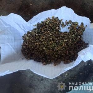 У жителя Запорожья нашли два килограмма наркотиков. Фото