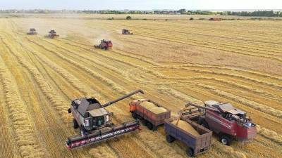Пошлина на экспорт пшеницы с 16 июня составит $33,3 за 1 т