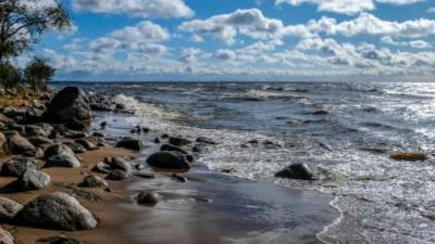 Золотой пляж в Зеленогорске приведут в порядок к лету 2022 года