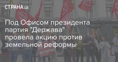 Под Офисом президента партия "Держава" провела акцию против земельной реформы - strana.ua