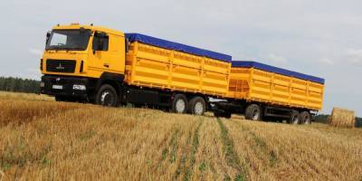 Топ-3 проблем перевозки зерна автонстрапортом — комментарии “Евротерминала”
