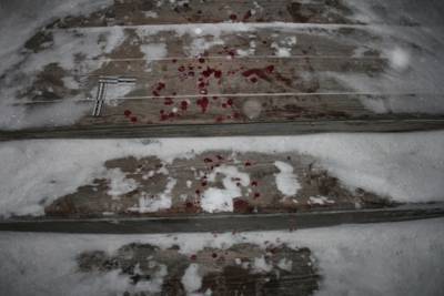 Зауральца будут судить за убийство сожительницы - kikonline.ru - Курганская обл. - район Целинный