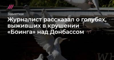 Журналист рассказал о голубях, выживших в крушении «Боинга» над Донбассом