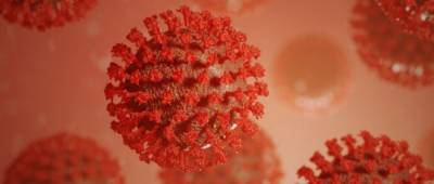 Экс-сотрудница института биотехнологий украла штаммы опасного вируса