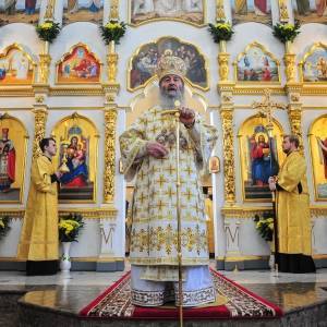 Фоторепортаж: в Запорожье доставили частицу мощей святителя Луки Крымского