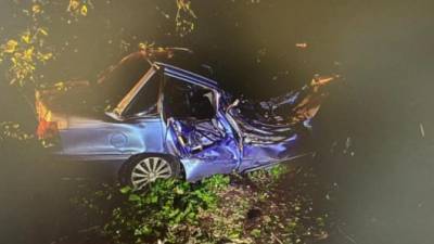 В Воронежской области автомобиль врезался в дерево – пострадали две девушки
