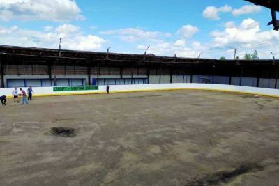 В районах Марий Эл появятся новые хоккейные коробки